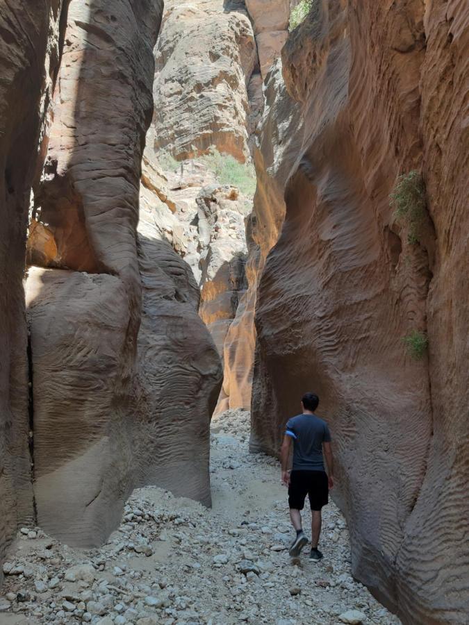 The Rock Camp Petra Hotel Wadi Musa Exterior photo