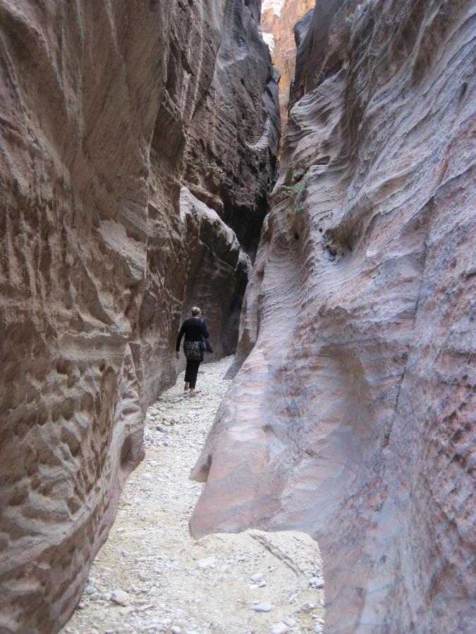 The Rock Camp Petra Hotel Wadi Musa Exterior photo